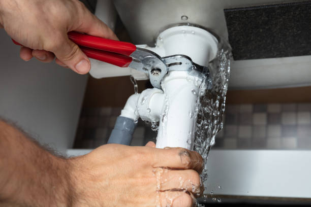 Best Local water damage restoration  in Citrus Hills, FL