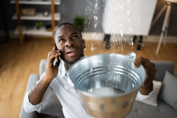 Best Water damage restoration near me  in Citrus Hills, FL