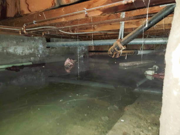 Best Fire Damage Restoration  in Citrus Hills, FL