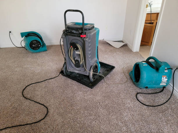 Best Flooded house restoration  in Citrus Hills, FL
