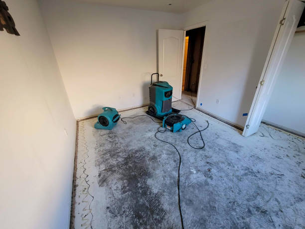 Best Water damage restoration company  in Citrus Hills, FL