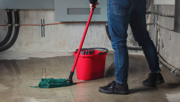 Best Flood restoration services  in Citrus Hills, FL