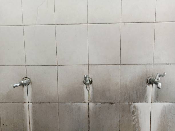 Best Ceiling water damage repair  in Citrus Hills, FL